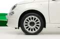 Fiat 500 CABRIO LOUNGE 1.2 69 CV 2P Wit - thumbnail 15