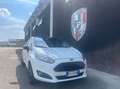 Ford Fiesta 1.5 tdci Business 75cv 5p E6 Blanc - thumbnail 12