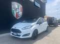Ford Fiesta 1.5 tdci Business 75cv 5p E6 Blanc - thumbnail 5