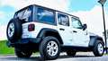 Jeep Wrangler 3.0 Diesel 4x4 UNLIMITED ISLANDER Wit - thumbnail 4