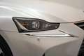 Lexus IS 300 300h Hybrid Business Line Aut. [ LED Navi Camera H Blanco - thumbnail 30