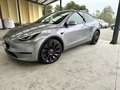 Tesla Model Y Performance Dual Motor awd - thumbnail 1