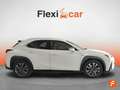Lexus UX 250h 2.0 F Sport Blanco - thumbnail 3