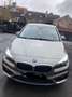 BMW 216 Active Tourer d Edition Beige - thumbnail 1