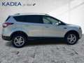 Ford Kuga 1.5 EcoBoost Trend Winter-P*Tempomat*PDC Zilver - thumbnail 5