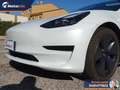 Tesla Model 3 Standard rwd Plus Weiß - thumbnail 18