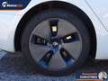 Tesla Model 3 Standard rwd Plus Weiß - thumbnail 31