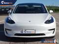 Tesla Model 3 Standard rwd Plus Weiß - thumbnail 8