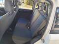 Fiat Panda Panda 1.2 BENZINA 69CV 5 POSTI Bianco - thumbnail 16
