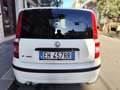 Fiat Panda Panda 1.2 BENZINA 69CV 5 POSTI Bianco - thumbnail 7