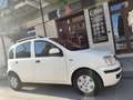 Fiat Panda Panda 1.2 BENZINA 69CV 5 POSTI Bianco - thumbnail 1