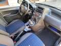 Fiat Panda Panda 1.2 BENZINA 69CV 5 POSTI Bianco - thumbnail 21