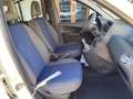 Fiat Panda Panda 1.2 BENZINA 69CV 5 POSTI Bianco - thumbnail 15
