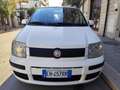 Fiat Panda Panda 1.2 BENZINA 69CV 5 POSTI Bianco - thumbnail 2