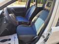 Fiat Panda Panda 1.2 BENZINA 69CV 5 POSTI Bianco - thumbnail 11