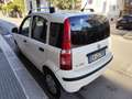 Fiat Panda Panda 1.2 BENZINA 69CV 5 POSTI Bianco - thumbnail 9