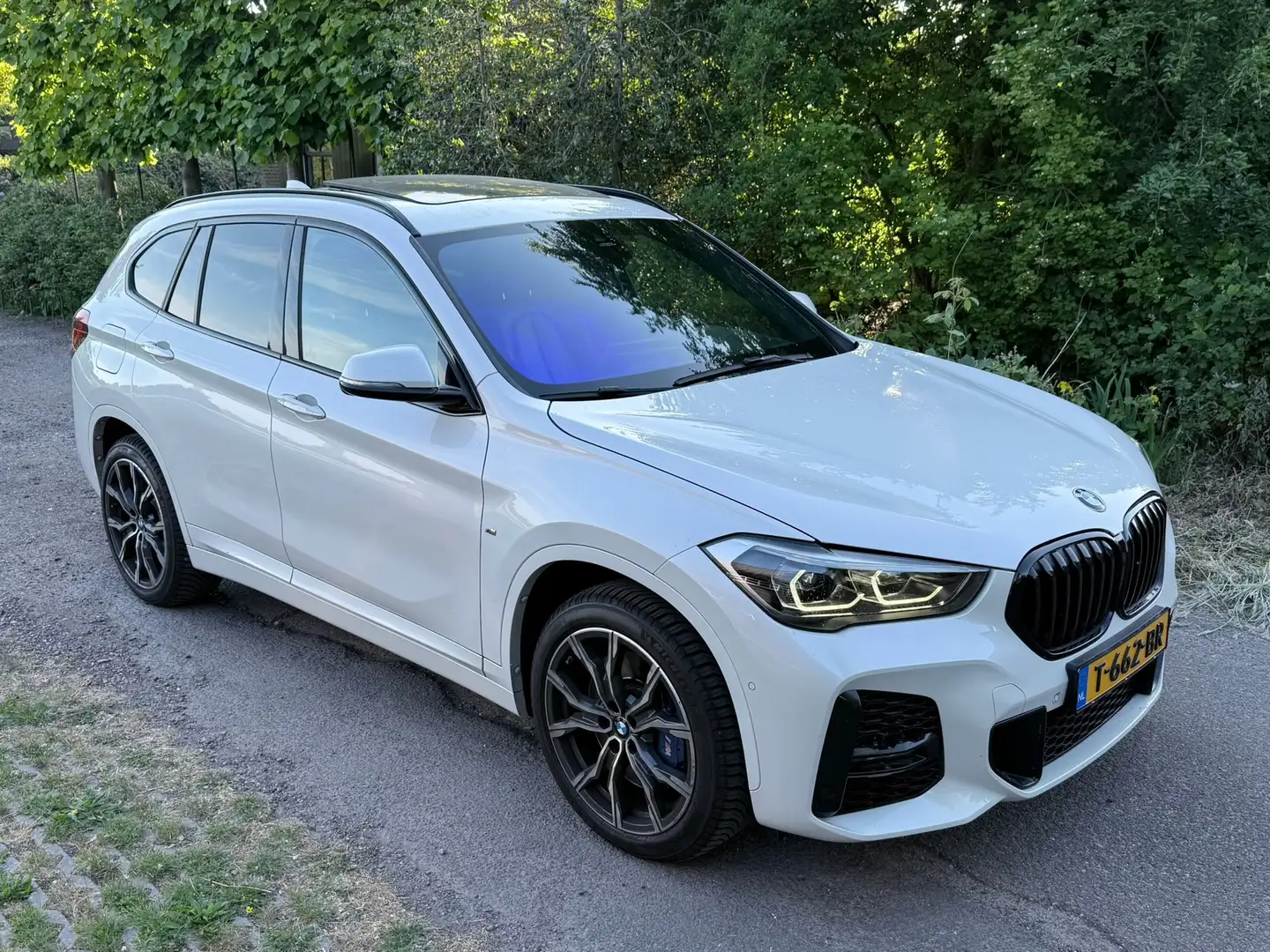 BMW X1 xDrive 25i High Exec. M-Pakket & Full Option Wit - 2