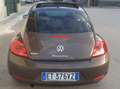 Volkswagen Maggiolino 1.6 tdi Marrone - thumbnail 8