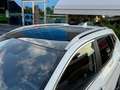 Nissan Qashqai 1.5 dCi 115 CV DCT N-CONNECTA *TETTO*UNIPROP* Weiß - thumbnail 6