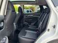 Nissan Qashqai 1.5 dCi 115 CV DCT N-CONNECTA *TETTO*UNIPROP* Weiß - thumbnail 9