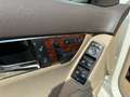 Mercedes-Benz C 320 C 320T CDI 4Matic/Voll/Schiebedach/Xenox Blanco - thumbnail 20