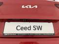 Kia Ceed SW / cee'd SW ceed SW  ** 8-fach Bereift ** Winterpaket ** Rot - thumbnail 15