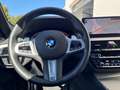 BMW 530 d Limousine xDrive M-Sport LCProf Parkass Grau - thumbnail 9