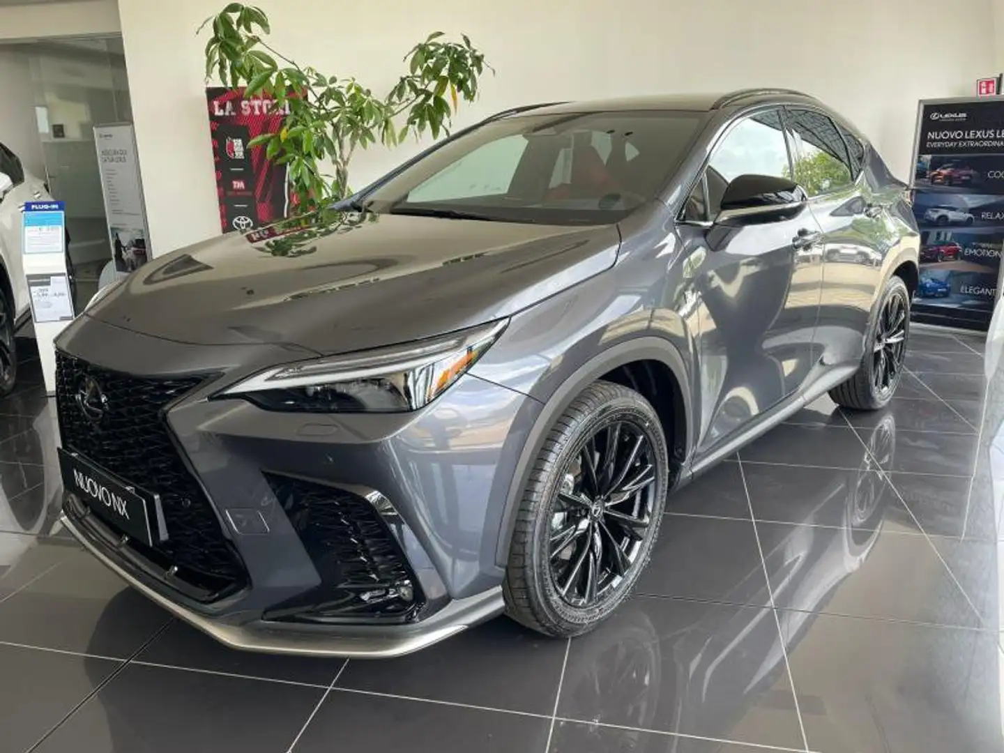 Lexus NX 300 2ª serie Hybrid 4WD F-Sport Grau - 1