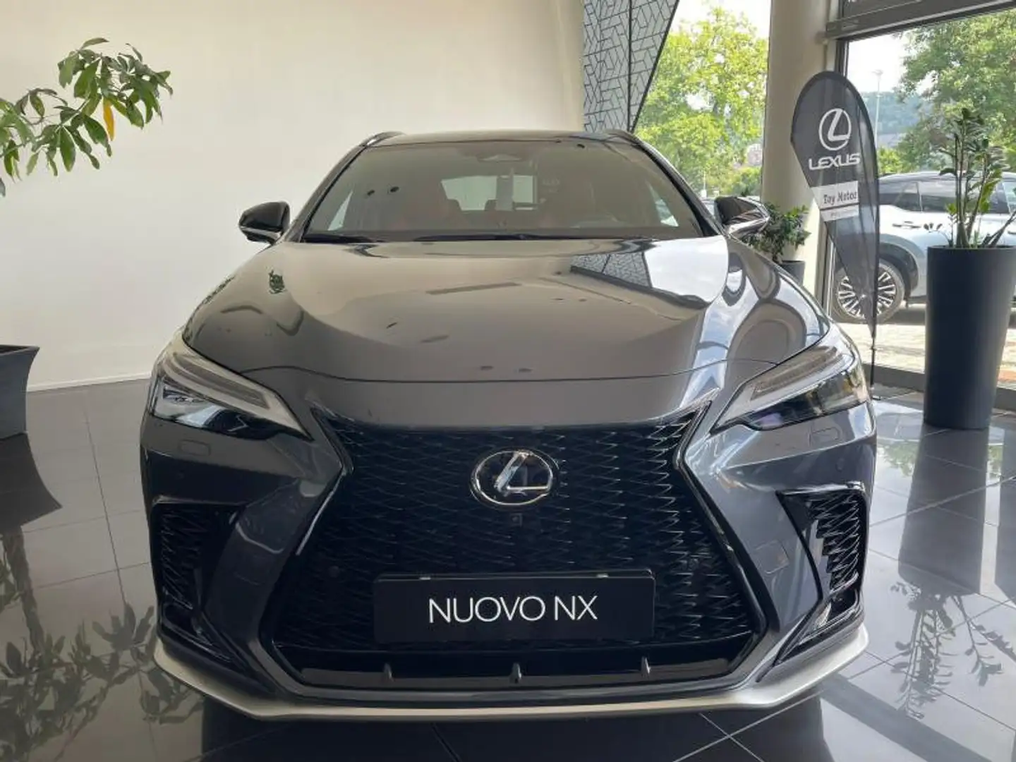 Lexus NX 300 2ª serie Hybrid 4WD F-Sport Grau - 2