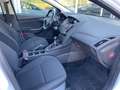 Ford Focus Turnier Trend Blanc - thumbnail 3