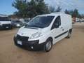 Fiat Scudo furgone coibentato Wit - thumbnail 1