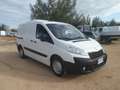 Fiat Scudo furgone coibentato Wit - thumbnail 3