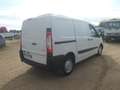 Fiat Scudo furgone coibentato Wit - thumbnail 4