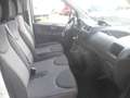 Fiat Scudo furgone coibentato Wit - thumbnail 7
