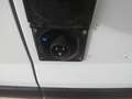 Fiat Scudo furgone coibentato Wit - thumbnail 6