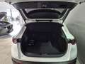 Mazda CX-30 Selection X-186/AWD/6AG/Des.-P./Pre.-P./Leder Bianco - thumbnail 5