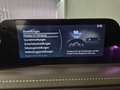 Mazda CX-30 Selection X-186/AWD/6AG/Des.-P./Pre.-P./Leder Bianco - thumbnail 15