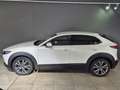 Mazda CX-30 Selection X-186/AWD/6AG/Des.-P./Pre.-P./Leder Bianco - thumbnail 3