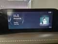 Mazda CX-30 Selection X-186/AWD/6AG/Des.-P./Pre.-P./Leder Bianco - thumbnail 14