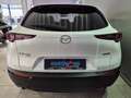 Mazda CX-30 Selection X-186/AWD/6AG/Des.-P./Pre.-P./Leder Bianco - thumbnail 4