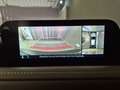Mazda CX-30 Selection X-186/AWD/6AG/Des.-P./Pre.-P./Leder Bianco - thumbnail 16