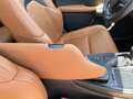 Lexus UX 250h Executive Navigation 2WD Rojo - thumbnail 28