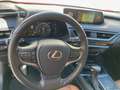 Lexus UX 250h Executive Navigation 2WD Kırmızı - thumbnail 6