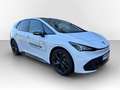 CUPRA Born 60 kwh Edition Dynamic PANO*WÄRMEPU*NAVI*LED*AC... Weiß - thumbnail 5