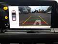Volkswagen Golf VIII VIII Matrix/Pano/Kamera/ACC Gelb - thumbnail 25