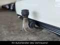 Mercedes-Benz B 200 B -Klasse B 200 Exklusiv*DISTRONIC*Kamera*AHK* Weiß - thumbnail 22