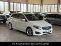 Mercedes-Benz B 200 B -Klasse B 200 Exklusiv*DISTRONIC*Kamera*AHK* Weiß - thumbnail 1