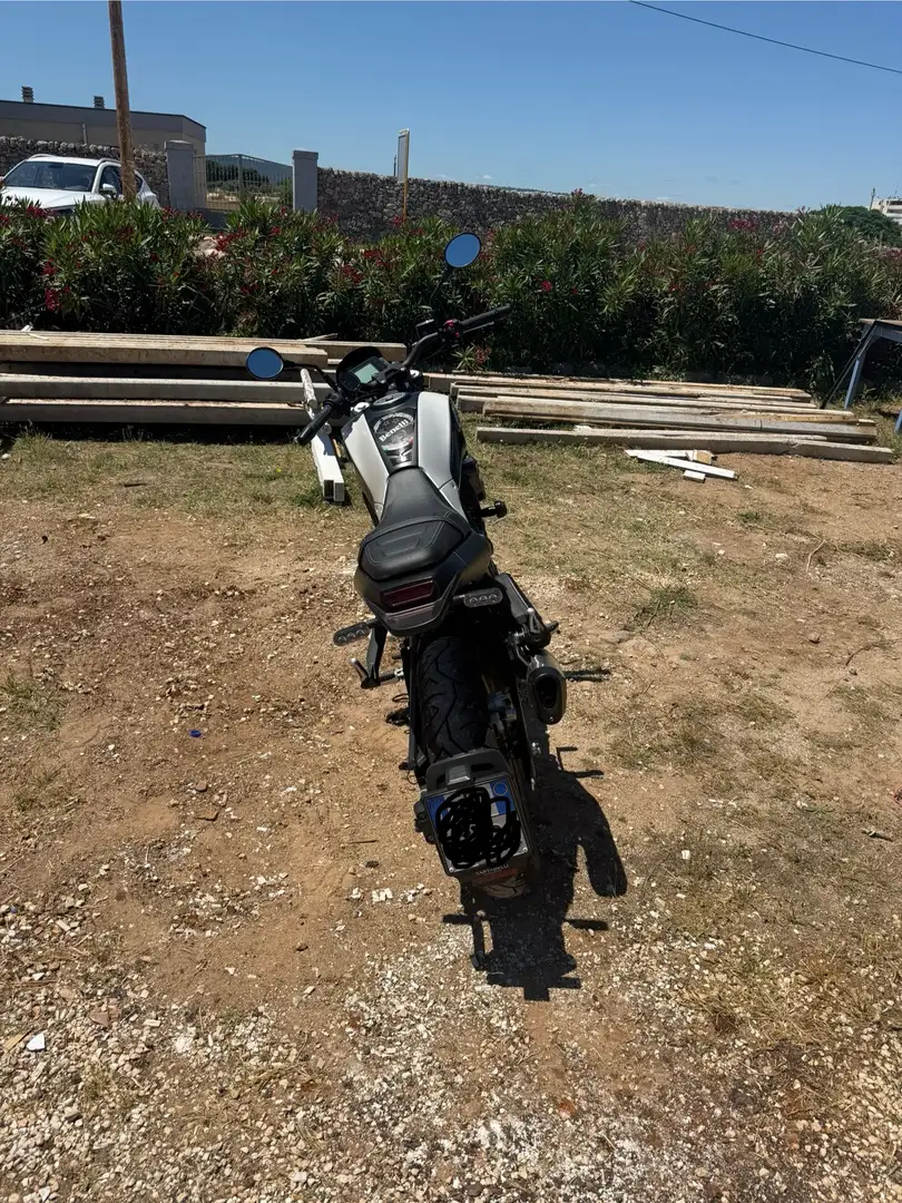 Benelli Leoncino 250cc - 2