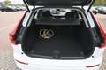 Volvo XC60 T6 Inscription PHEV AWD*AHK*RFK*H&K*STHZG* Weiß - thumbnail 8