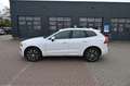 Volvo XC60 T6 Inscription PHEV AWD*AHK*RFK*H&K*STHZG* Weiß - thumbnail 1